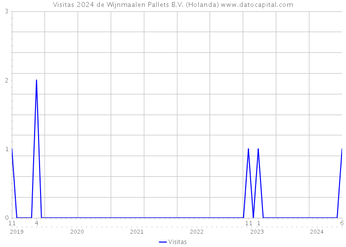 Visitas 2024 de Wijnmaalen Pallets B.V. (Holanda) 