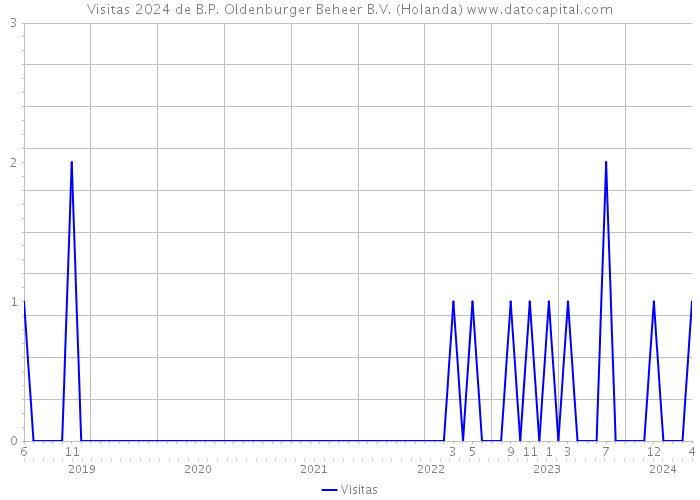 Visitas 2024 de B.P. Oldenburger Beheer B.V. (Holanda) 