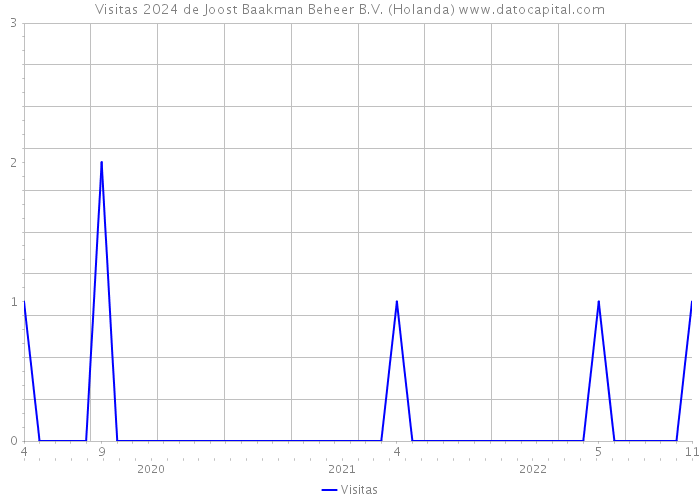 Visitas 2024 de Joost Baakman Beheer B.V. (Holanda) 