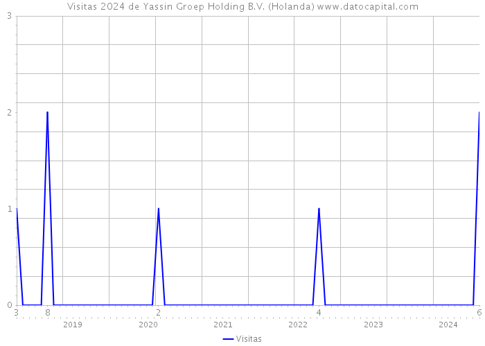 Visitas 2024 de Yassin Groep Holding B.V. (Holanda) 