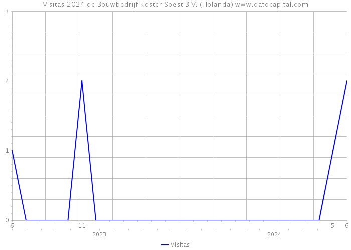 Visitas 2024 de Bouwbedrijf Koster Soest B.V. (Holanda) 