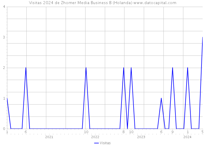 Visitas 2024 de Zhomer Media Business B (Holanda) 