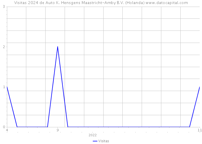 Visitas 2024 de Auto K. Hensgens Maastricht-Amby B.V. (Holanda) 