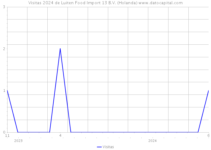 Visitas 2024 de Luiten Food Import 13 B.V. (Holanda) 