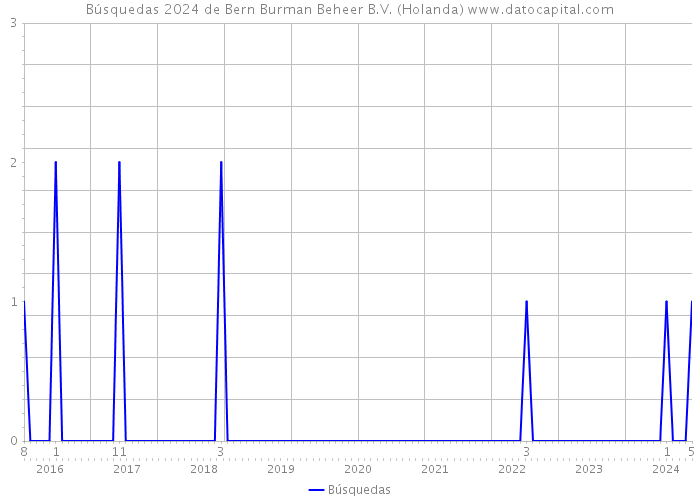 Búsquedas 2024 de Bern Burman Beheer B.V. (Holanda) 