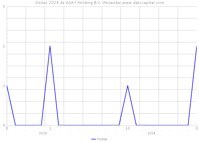 Visitas 2024 de ASAY Holding B.V. (Holanda) 