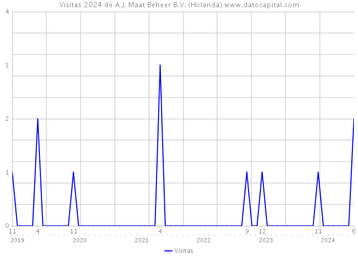 Visitas 2024 de A.J. Maat Beheer B.V. (Holanda) 