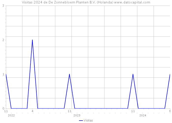 Visitas 2024 de De Zonnebloem Planten B.V. (Holanda) 