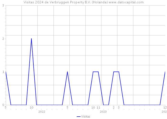 Visitas 2024 de Verbruggen Property B.V. (Holanda) 