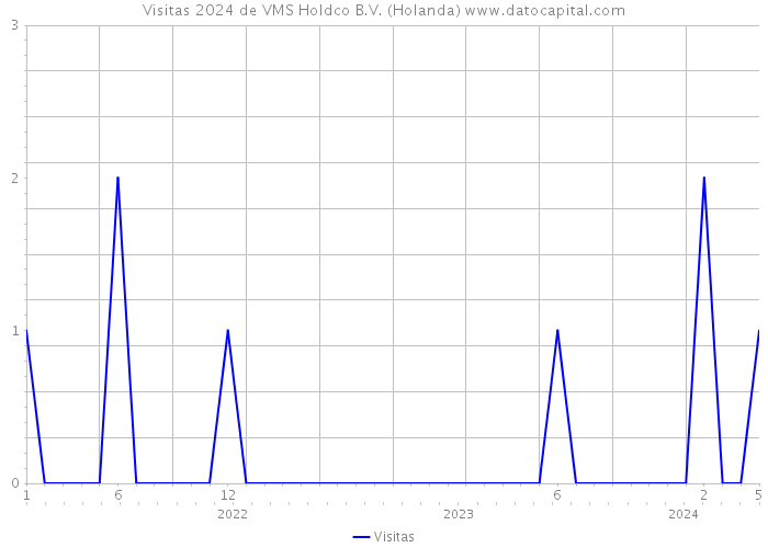 Visitas 2024 de VMS Holdco B.V. (Holanda) 