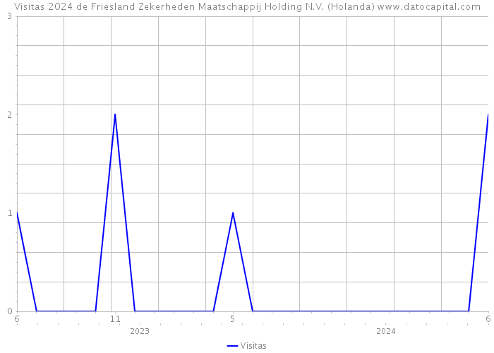 Visitas 2024 de Friesland Zekerheden Maatschappij Holding N.V. (Holanda) 