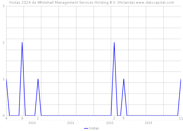 Visitas 2024 de Whitehall Management Services Holding B.V. (Holanda) 