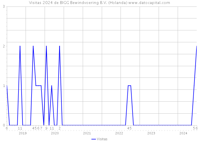 Visitas 2024 de BIGG Bewindvoering B.V. (Holanda) 