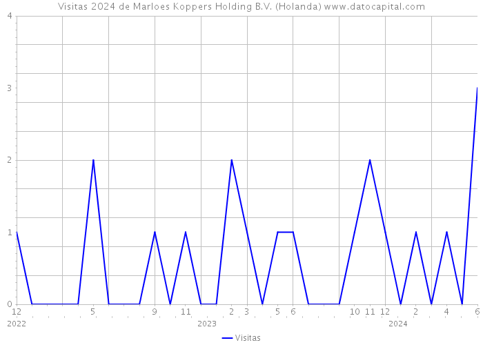 Visitas 2024 de Marloes Koppers Holding B.V. (Holanda) 