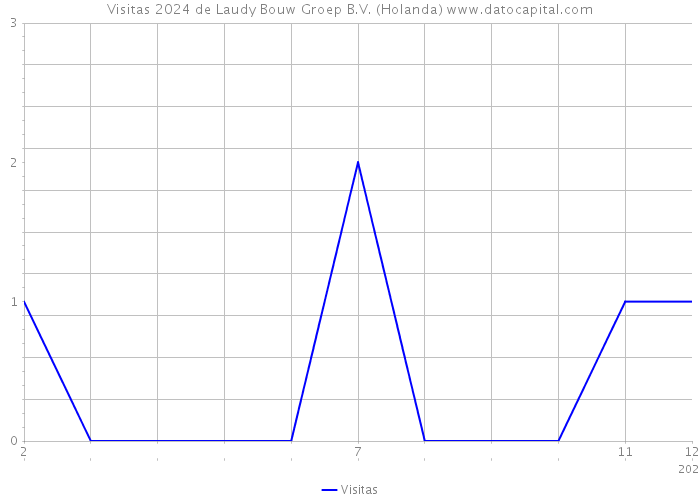 Visitas 2024 de Laudy Bouw Groep B.V. (Holanda) 