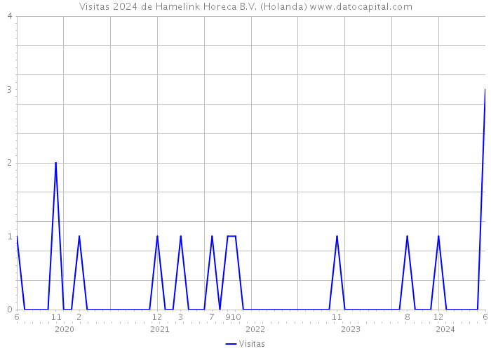 Visitas 2024 de Hamelink Horeca B.V. (Holanda) 