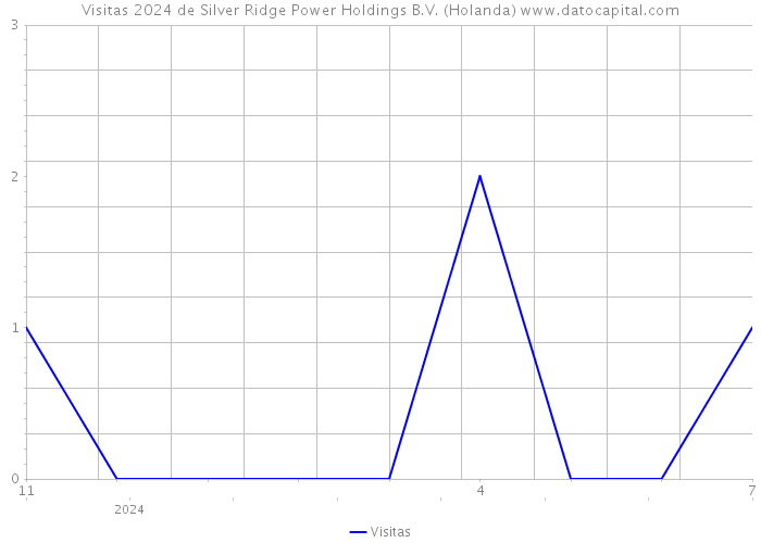 Visitas 2024 de Silver Ridge Power Holdings B.V. (Holanda) 