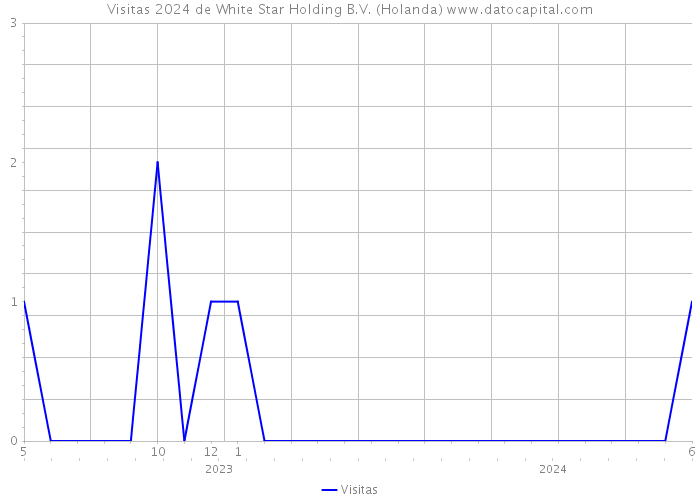 Visitas 2024 de White Star Holding B.V. (Holanda) 