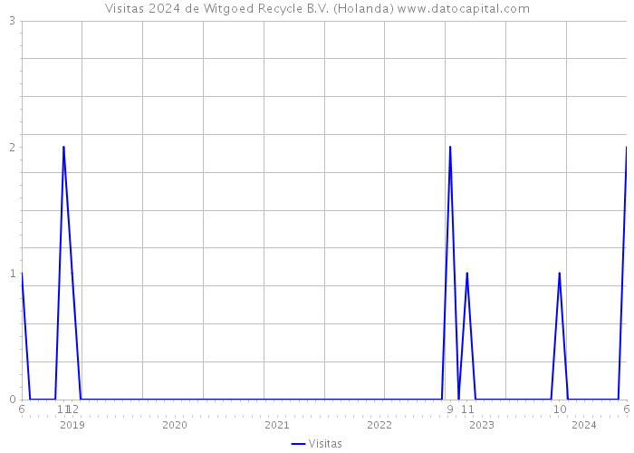 Visitas 2024 de Witgoed Recycle B.V. (Holanda) 