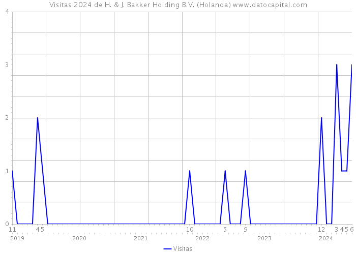 Visitas 2024 de H. & J. Bakker Holding B.V. (Holanda) 
