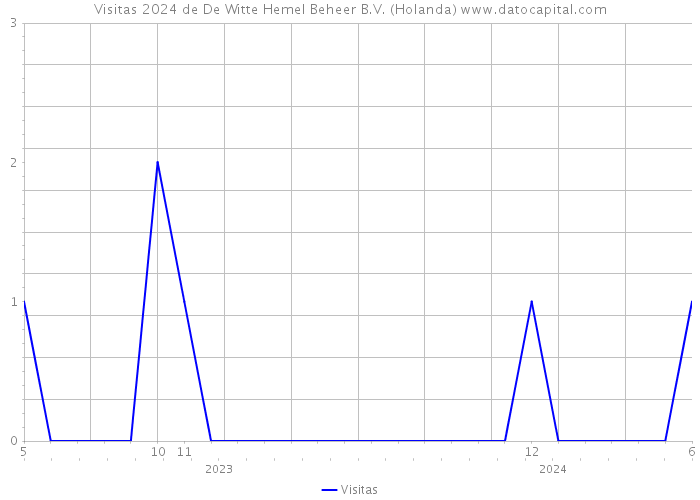 Visitas 2024 de De Witte Hemel Beheer B.V. (Holanda) 