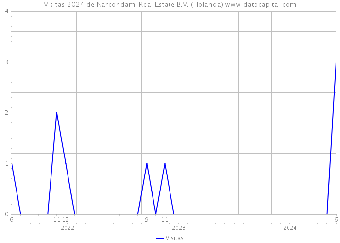 Visitas 2024 de Narcondami Real Estate B.V. (Holanda) 