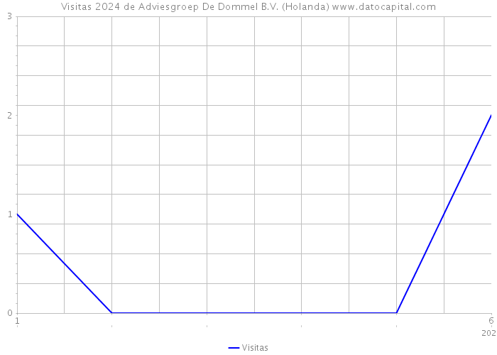 Visitas 2024 de Adviesgroep De Dommel B.V. (Holanda) 