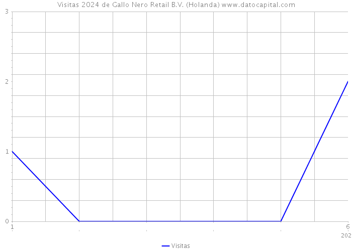 Visitas 2024 de Gallo Nero Retail B.V. (Holanda) 