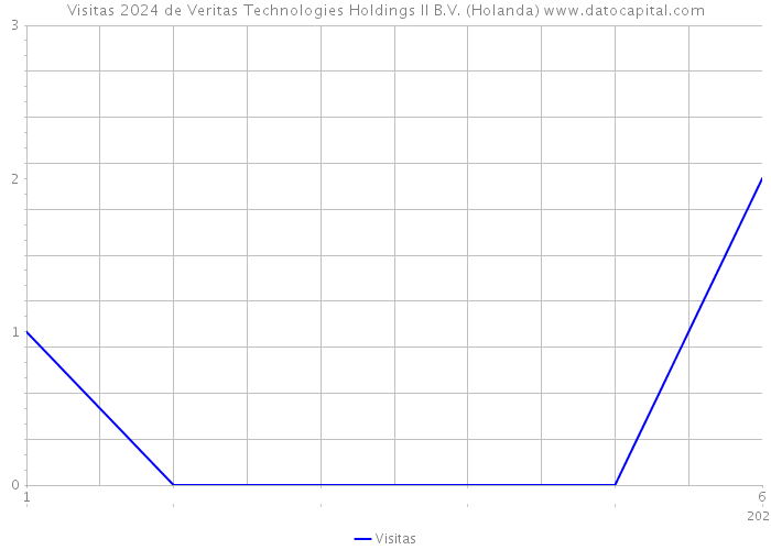 Visitas 2024 de Veritas Technologies Holdings II B.V. (Holanda) 