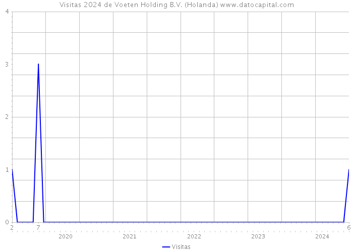 Visitas 2024 de Voeten Holding B.V. (Holanda) 