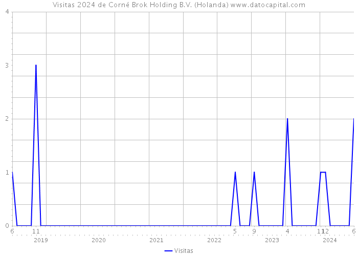 Visitas 2024 de Corné Brok Holding B.V. (Holanda) 