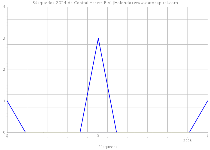 Búsquedas 2024 de Capital Assets B.V. (Holanda) 
