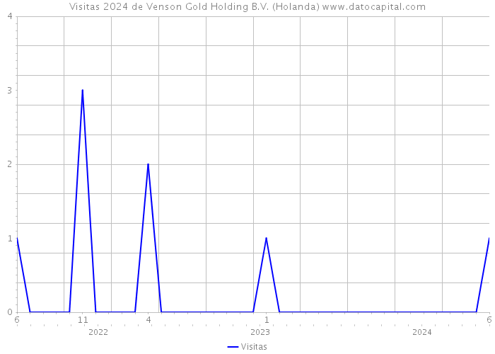 Visitas 2024 de Venson Gold Holding B.V. (Holanda) 