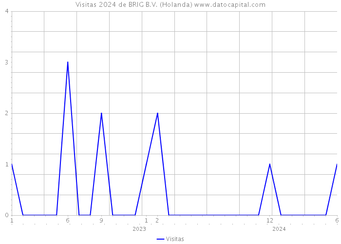 Visitas 2024 de BRIG B.V. (Holanda) 