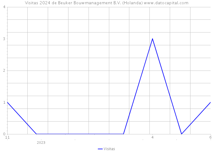 Visitas 2024 de Beuker Bouwmanagement B.V. (Holanda) 