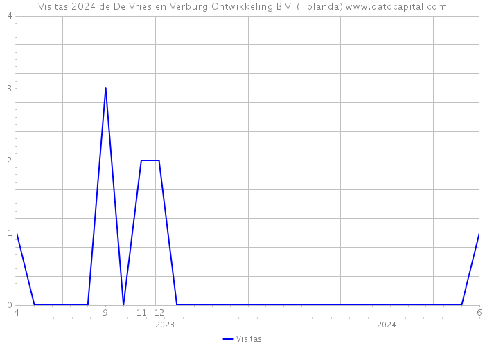 Visitas 2024 de De Vries en Verburg Ontwikkeling B.V. (Holanda) 