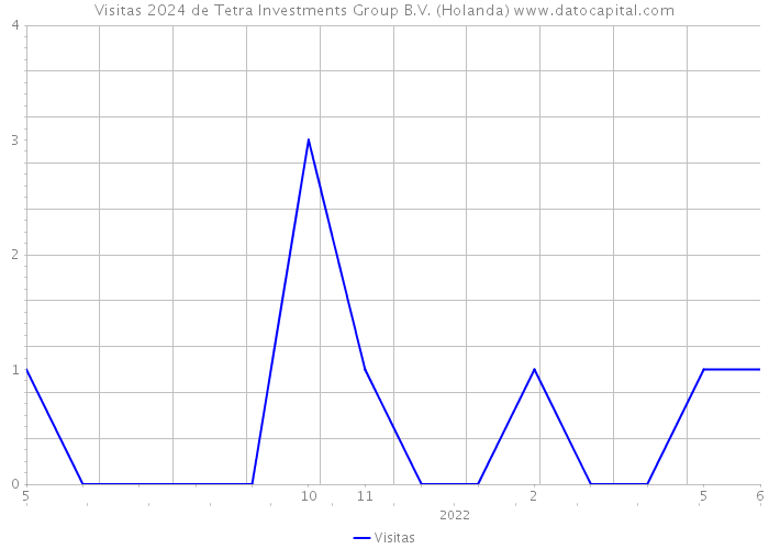 Visitas 2024 de Tetra Investments Group B.V. (Holanda) 