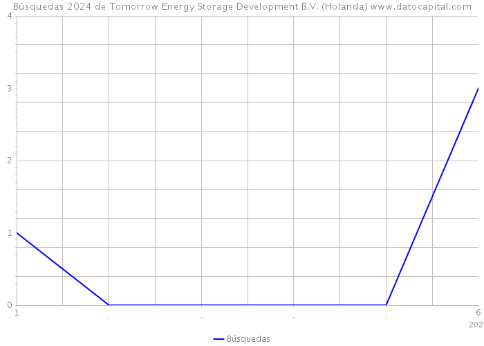 Búsquedas 2024 de Tomorrow Energy Storage Development B.V. (Holanda) 