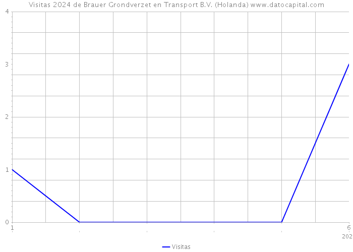Visitas 2024 de Brauer Grondverzet en Transport B.V. (Holanda) 