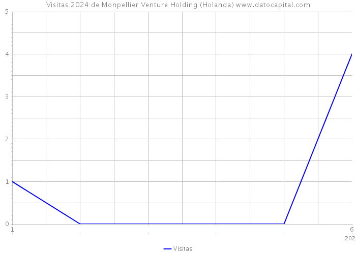 Visitas 2024 de Monpellier Venture Holding (Holanda) 
