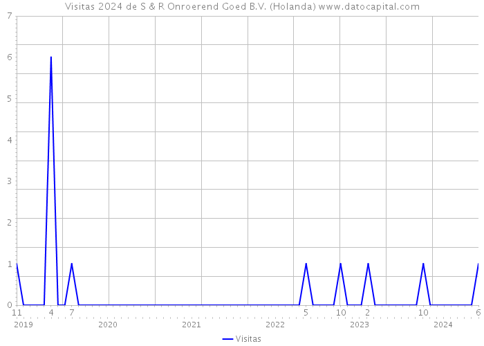 Visitas 2024 de S & R Onroerend Goed B.V. (Holanda) 