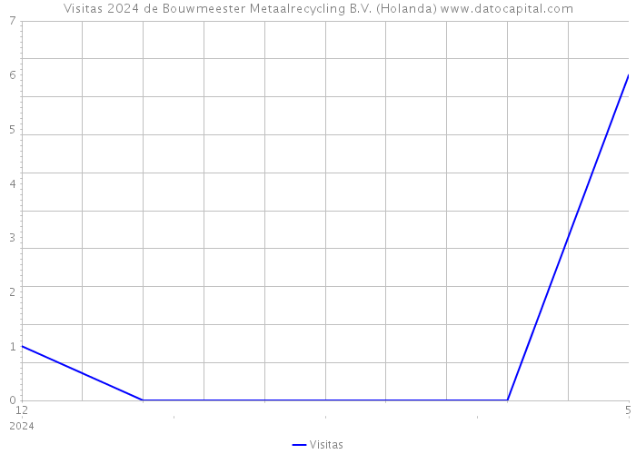Visitas 2024 de Bouwmeester Metaalrecycling B.V. (Holanda) 
