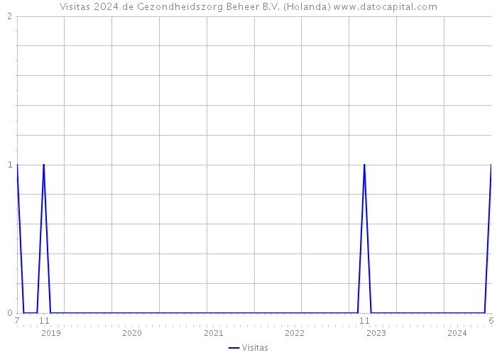 Visitas 2024 de Gezondheidszorg Beheer B.V. (Holanda) 