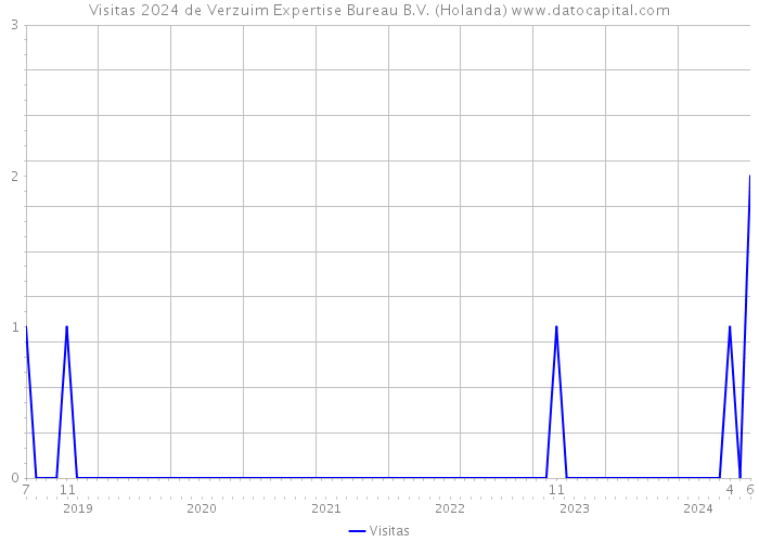 Visitas 2024 de Verzuim Expertise Bureau B.V. (Holanda) 