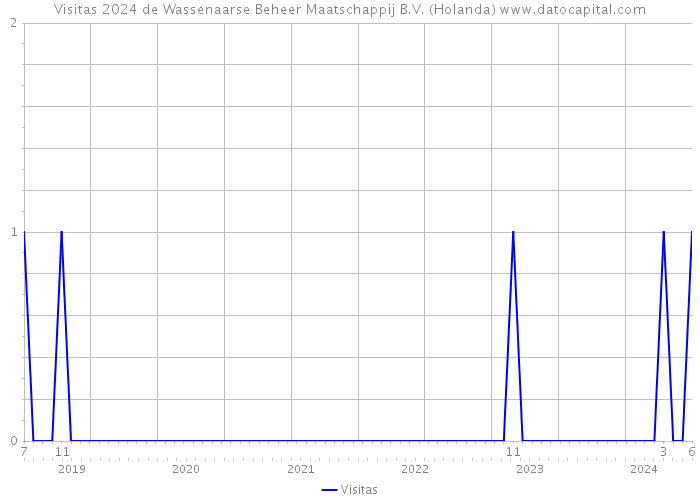 Visitas 2024 de Wassenaarse Beheer Maatschappij B.V. (Holanda) 