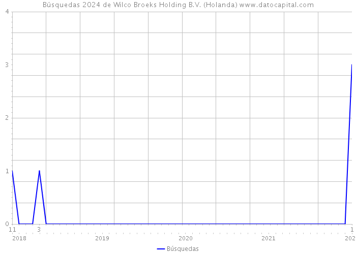 Búsquedas 2024 de Wilco Broeks Holding B.V. (Holanda) 