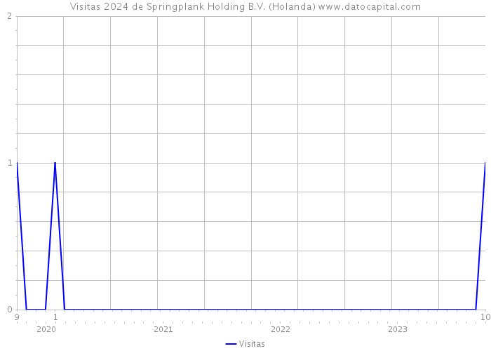 Visitas 2024 de Springplank Holding B.V. (Holanda) 