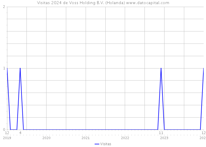 Visitas 2024 de Voss Holding B.V. (Holanda) 