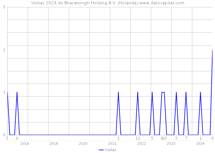Visitas 2024 de Bharatsingh Holding B.V. (Holanda) 