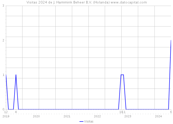 Visitas 2024 de J. Hammink Beheer B.V. (Holanda) 